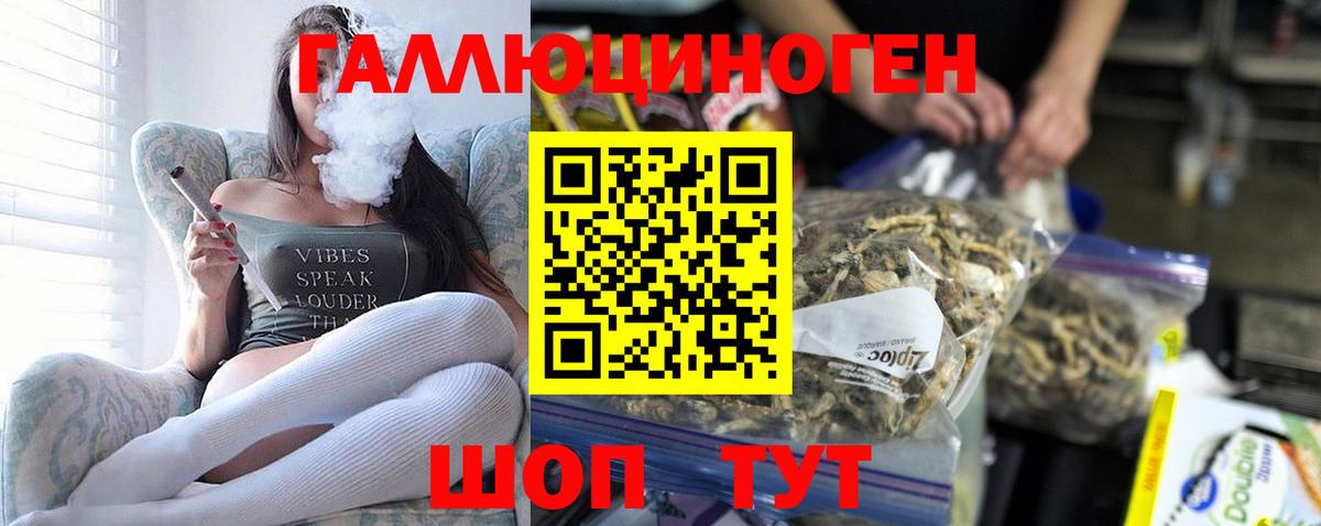Псилоцибиновые грибы Psilocybe Благодарный